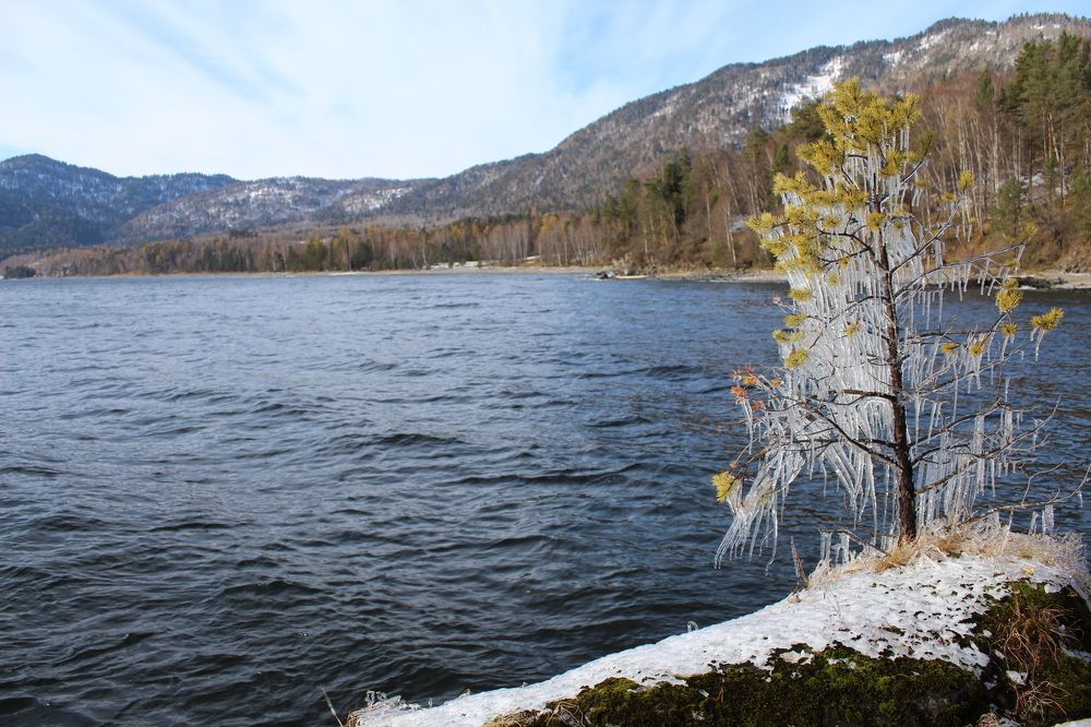 Ледяной наряд