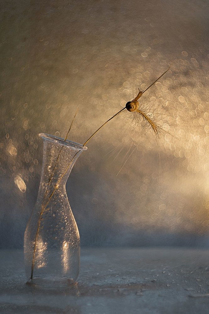 Photograph by Нурият Аллаярова