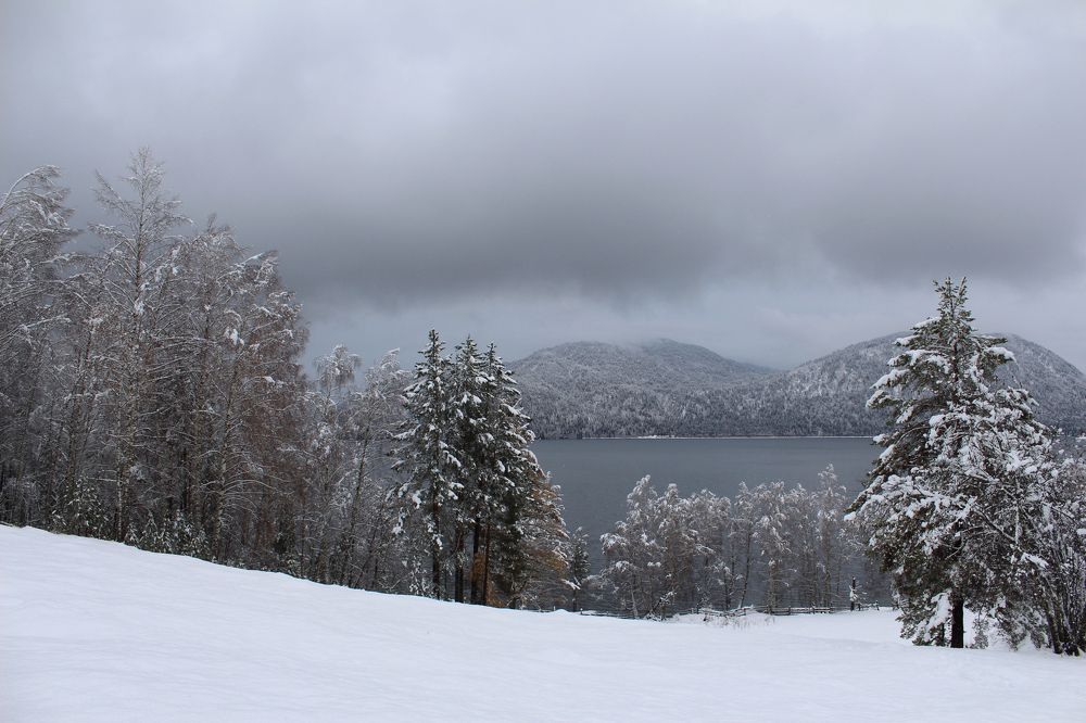 Тишина заповедника