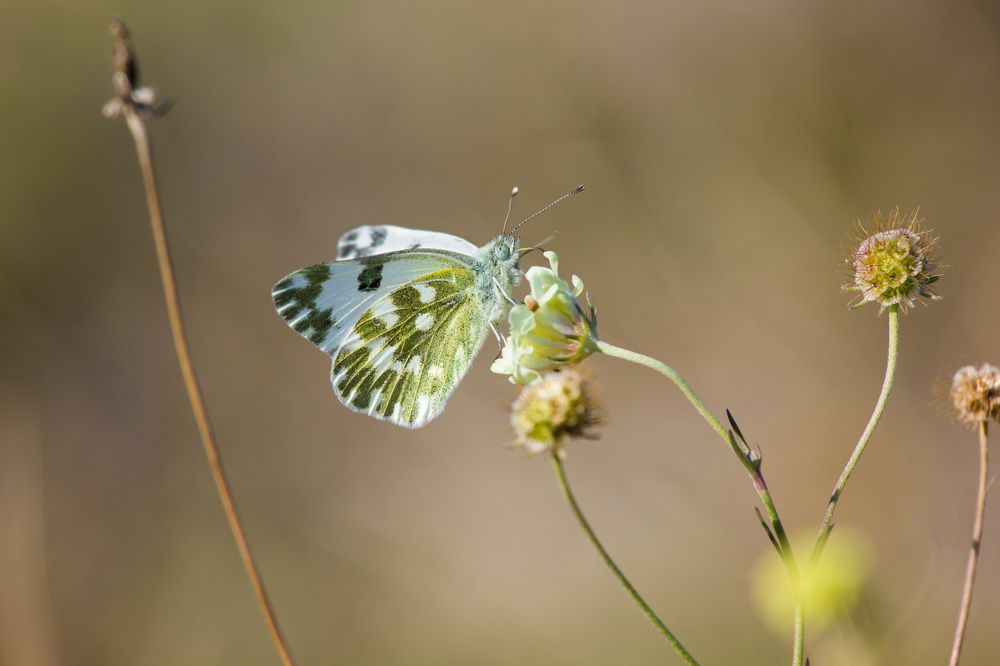 Фотография автора Максим Юрков