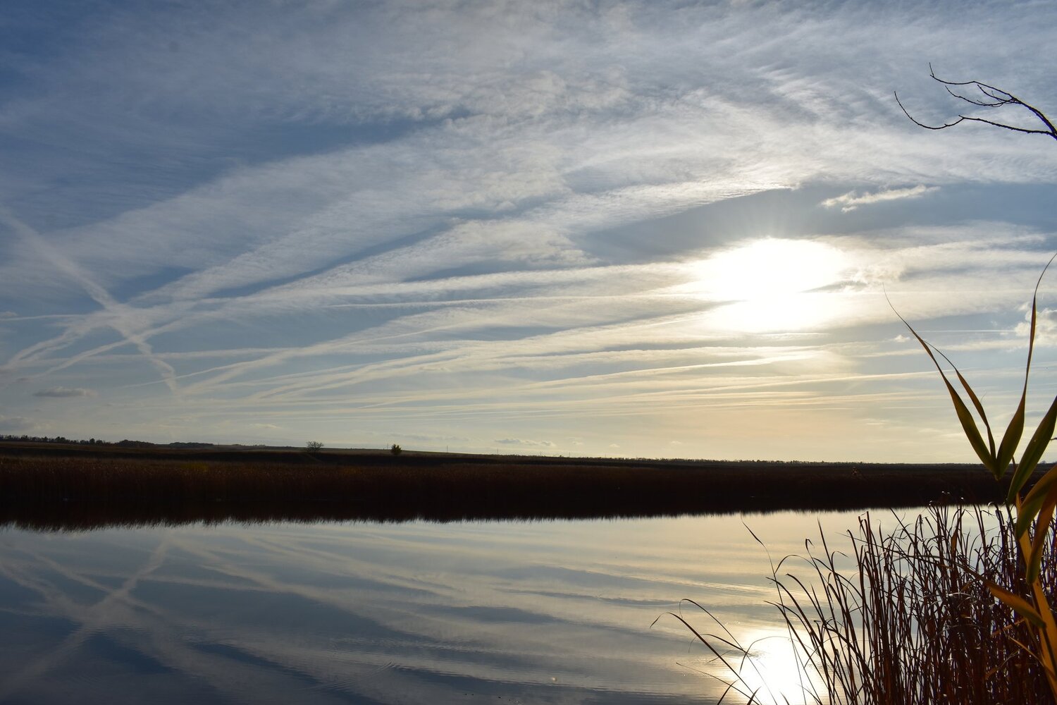 Photo #2663181