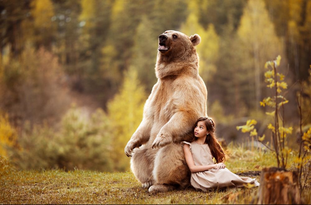 Дружба хрупкой девочки и сильного медведя