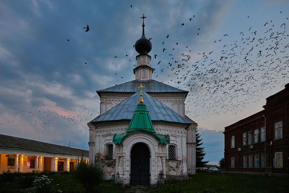 Photograph by Ольга