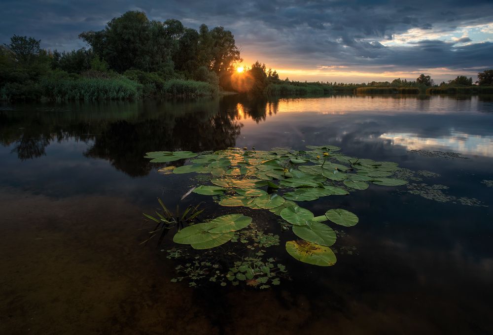 Фотография автора Юрий Юрьев
