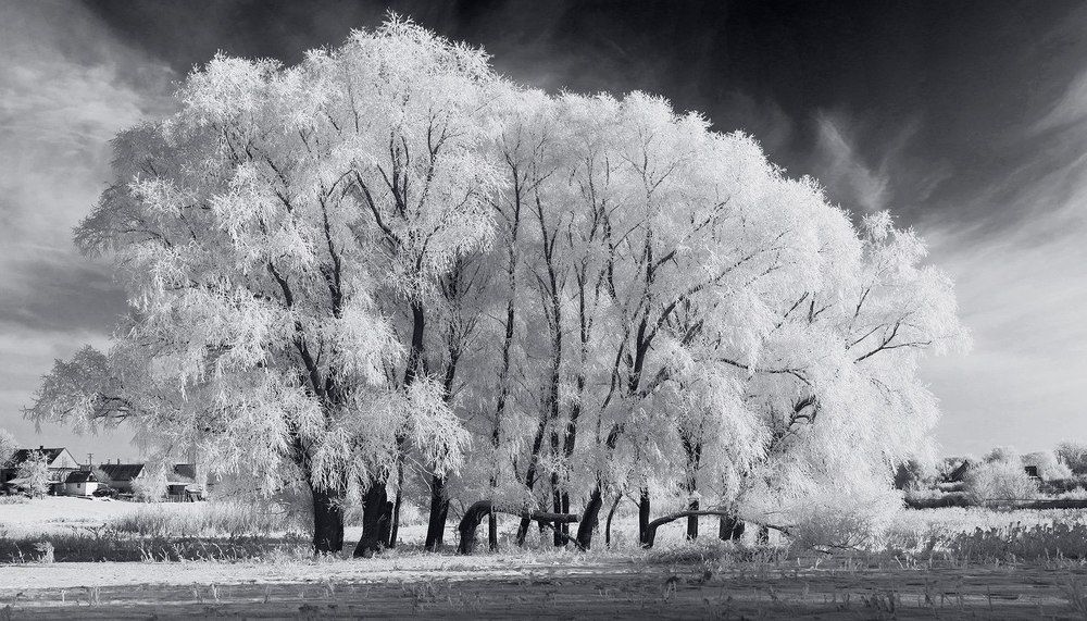 Photograph by Игорь Мальцев