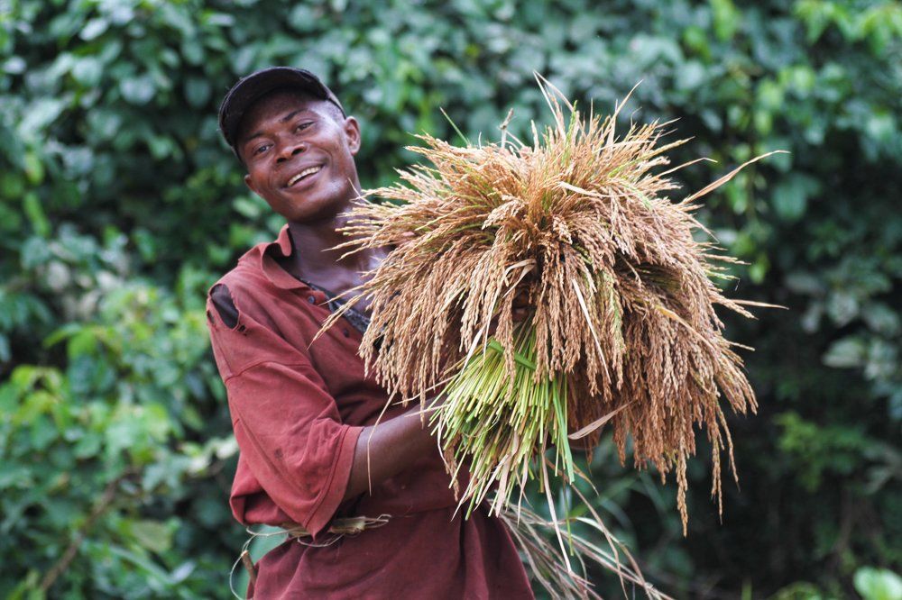 Фотография автора Катерина Белоусова