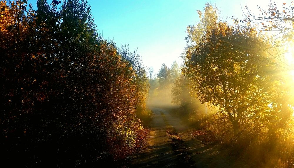 Утренние лучи