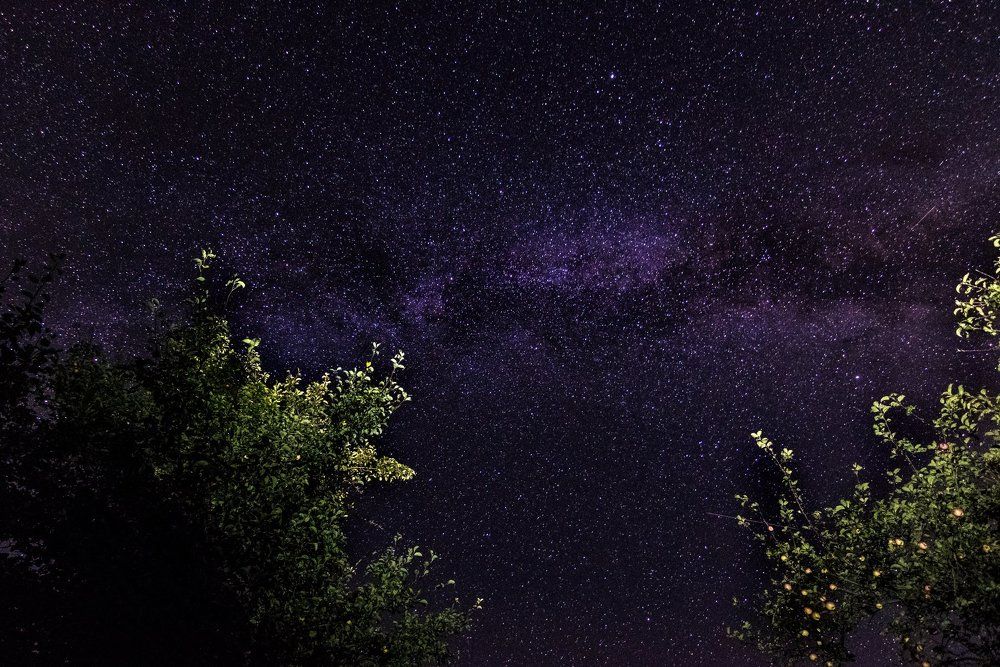 Photograph by Evgeniya