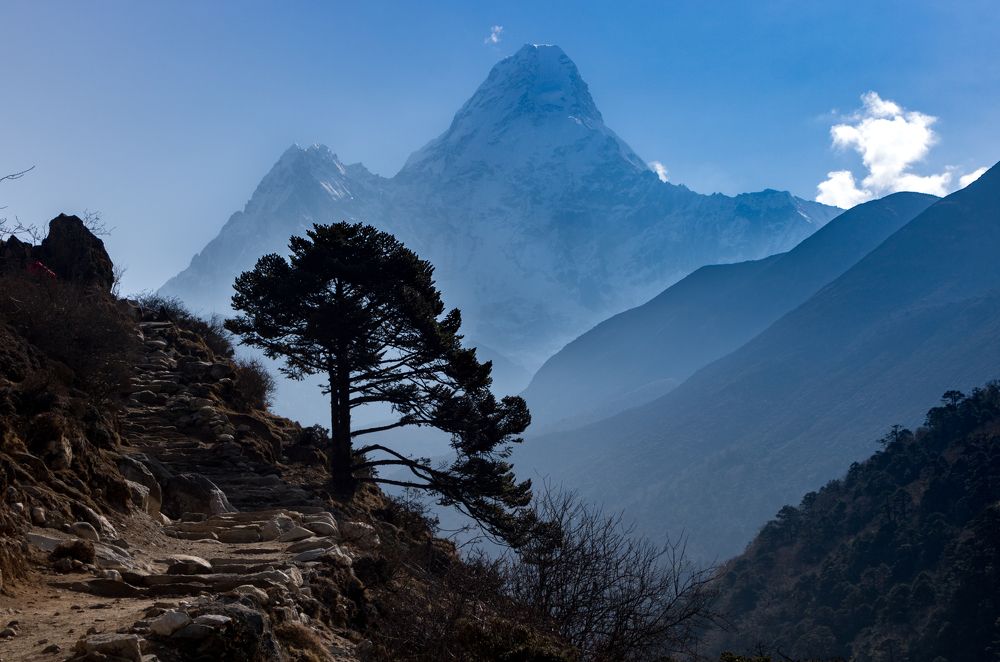 Photograph by Evgeniya