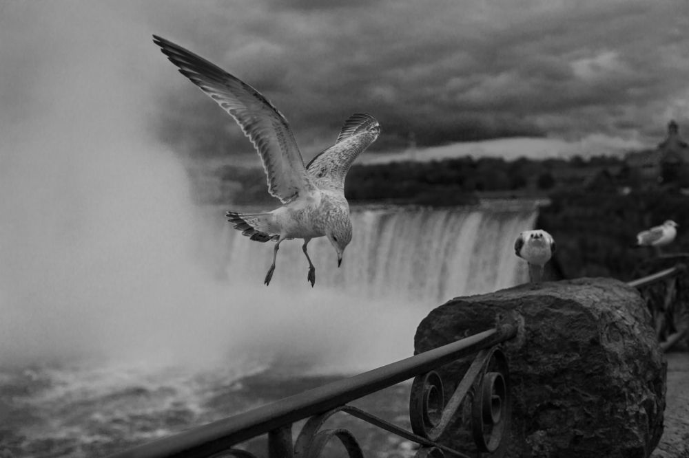 Приземляется