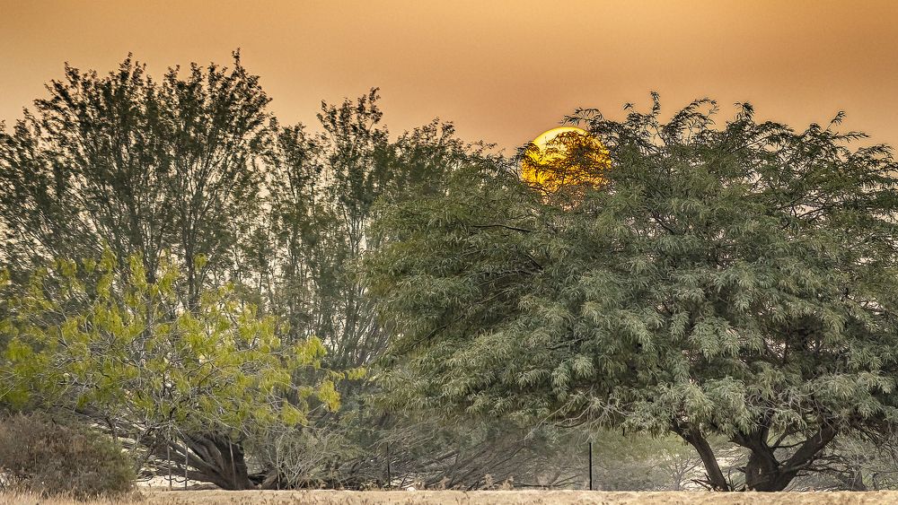 dawn of the sun in the desert.