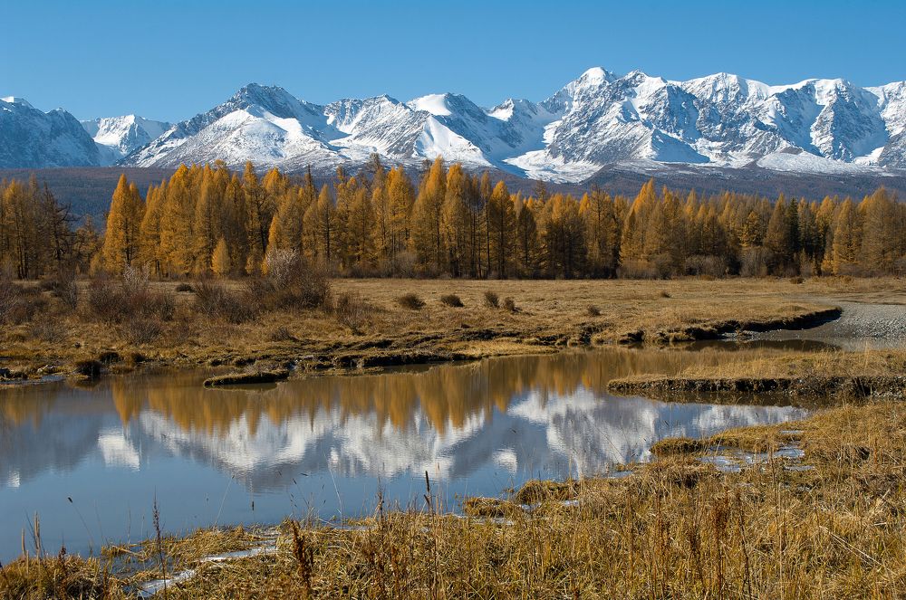 Рыжая осень