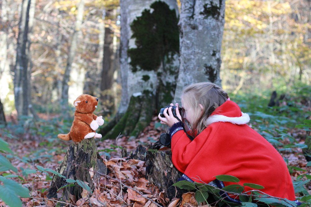 Фотография автора Marina Samarina