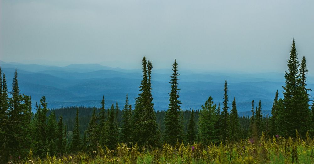 многослойность