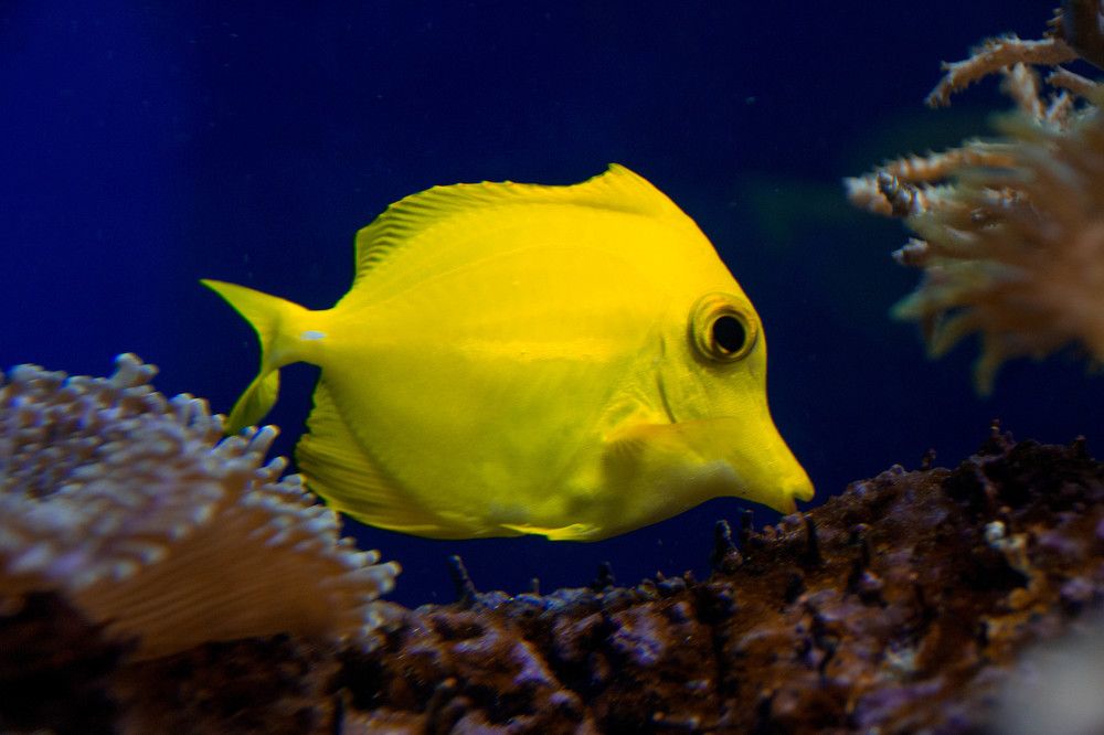 Photograph by Ефимова Анна