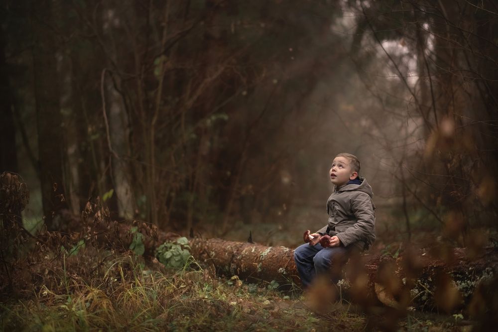 в гостях у леса