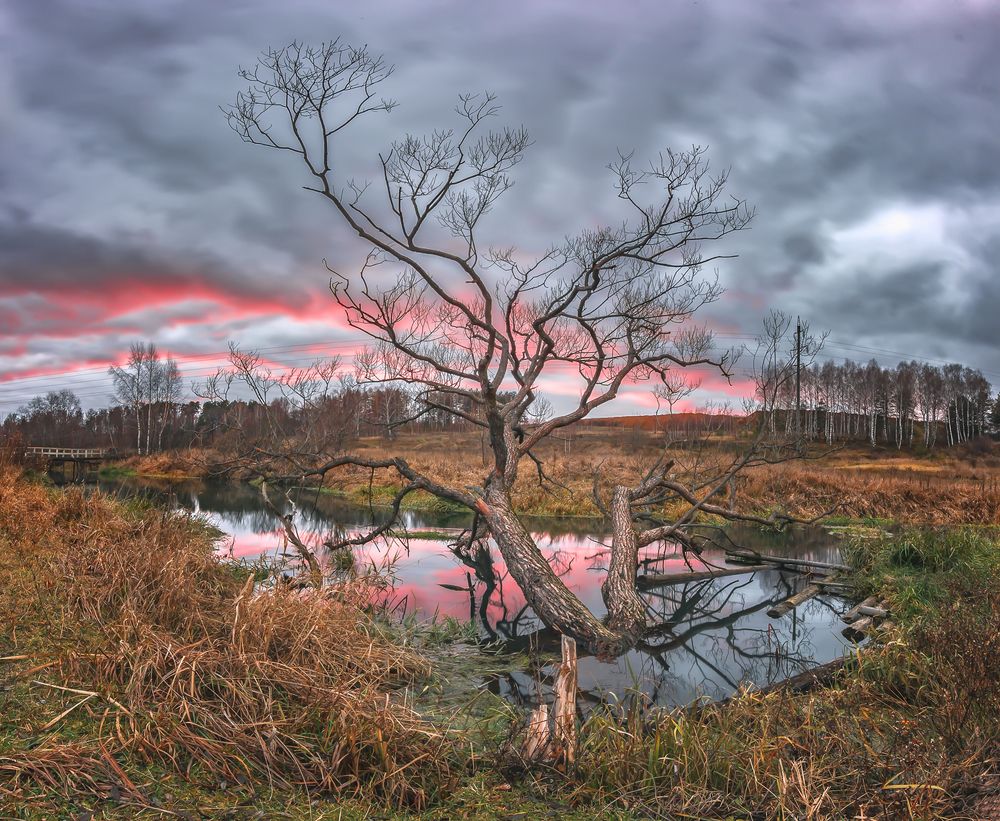 Photograph by Николай Андреев