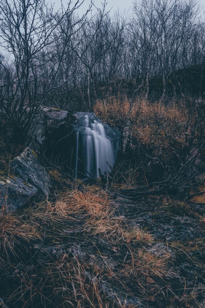 Природы увядание