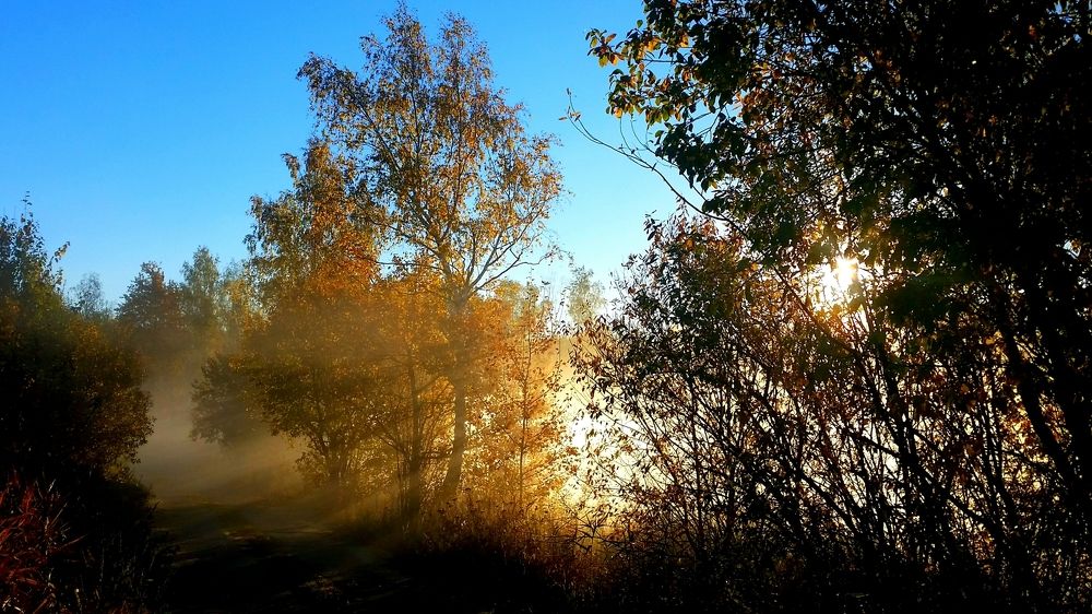 Утренние лучи