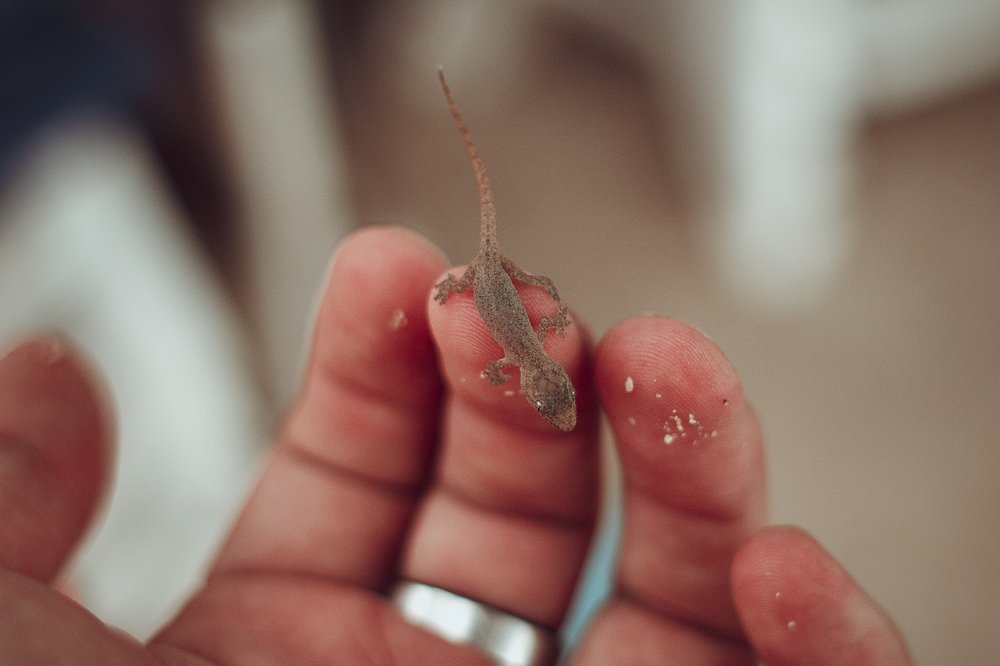 Photograph by Александр Касымов