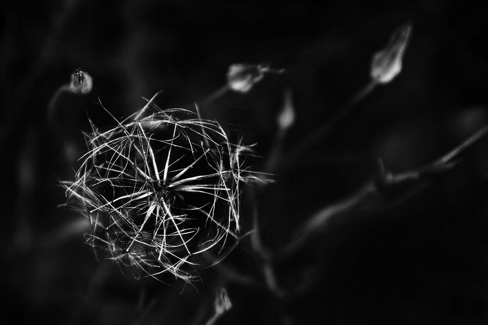 Серьёзная штука