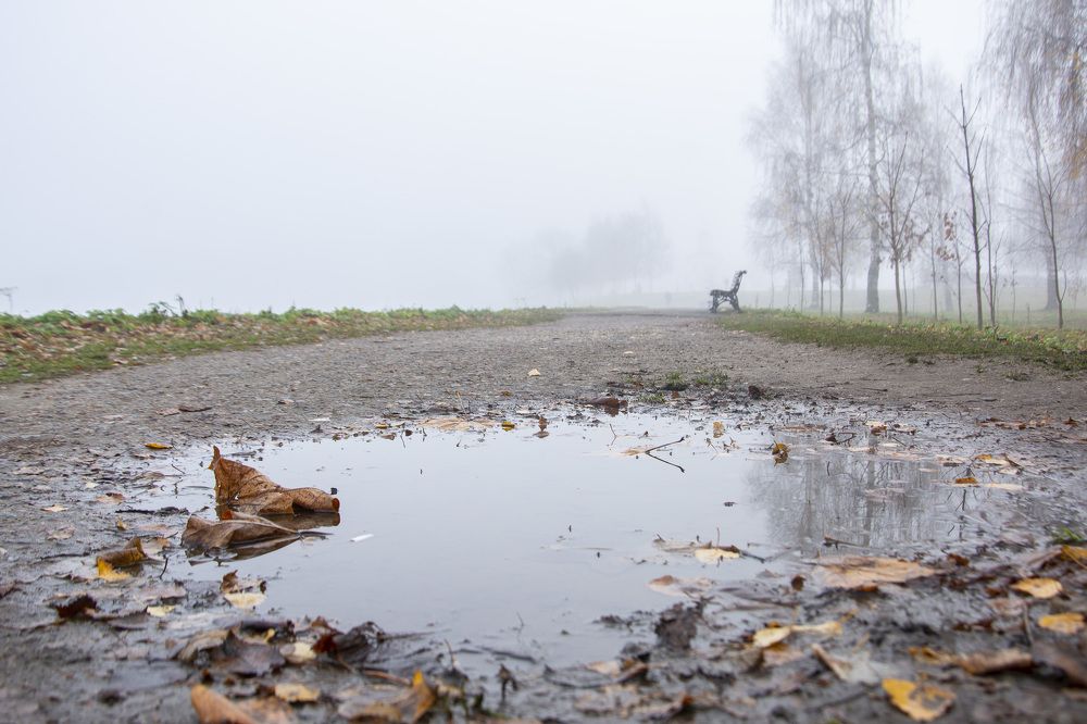 Туманное утро