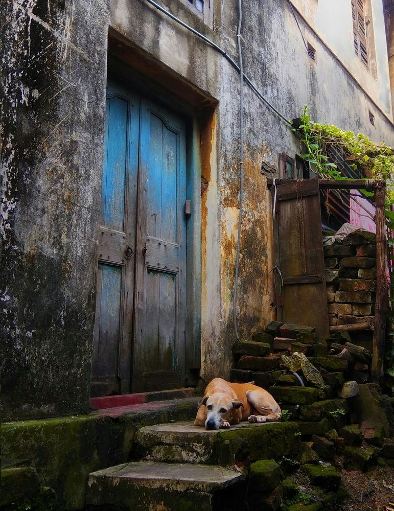 L A Z Y  A F T E R N O O N. L O N E L Y M A T E.