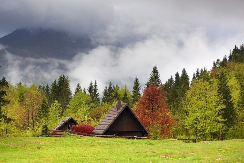 Утро в Словении
