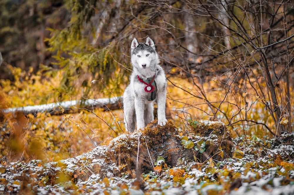 Фотография автора Мария Яропольская