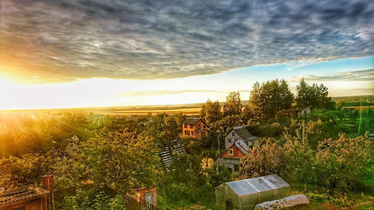 Утро за городом