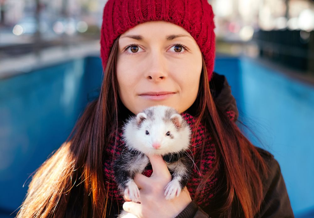 Girl with ferret