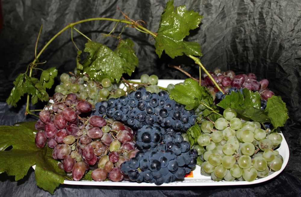 Photograph by Аля Портных