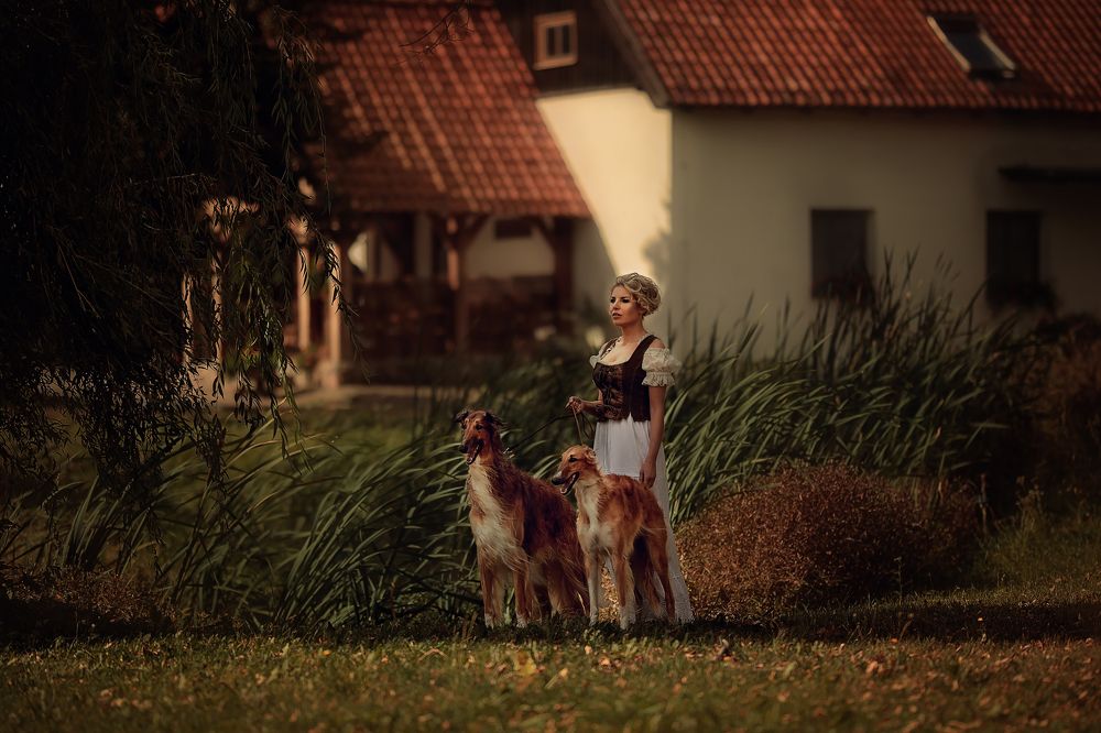 Afternoon in the Garden