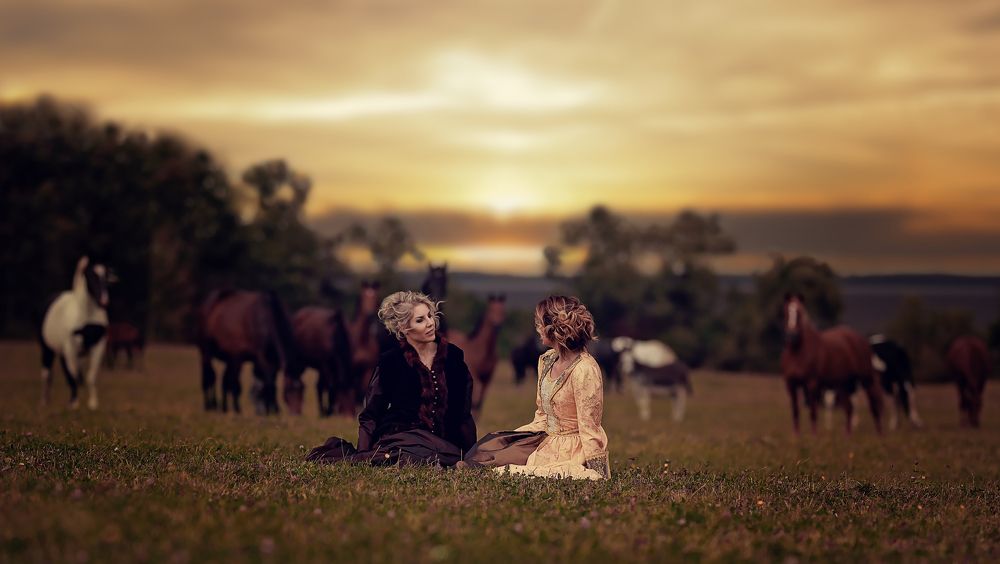 Late afternoon on fields