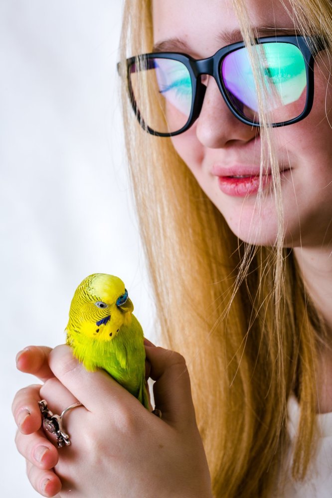 девушка и птица