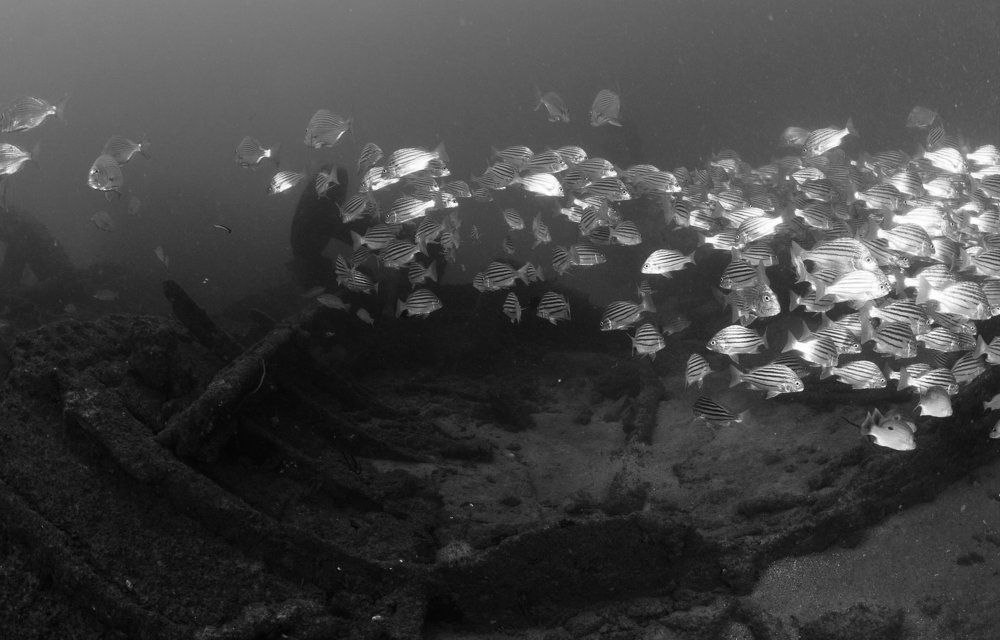 Скелет корабля.