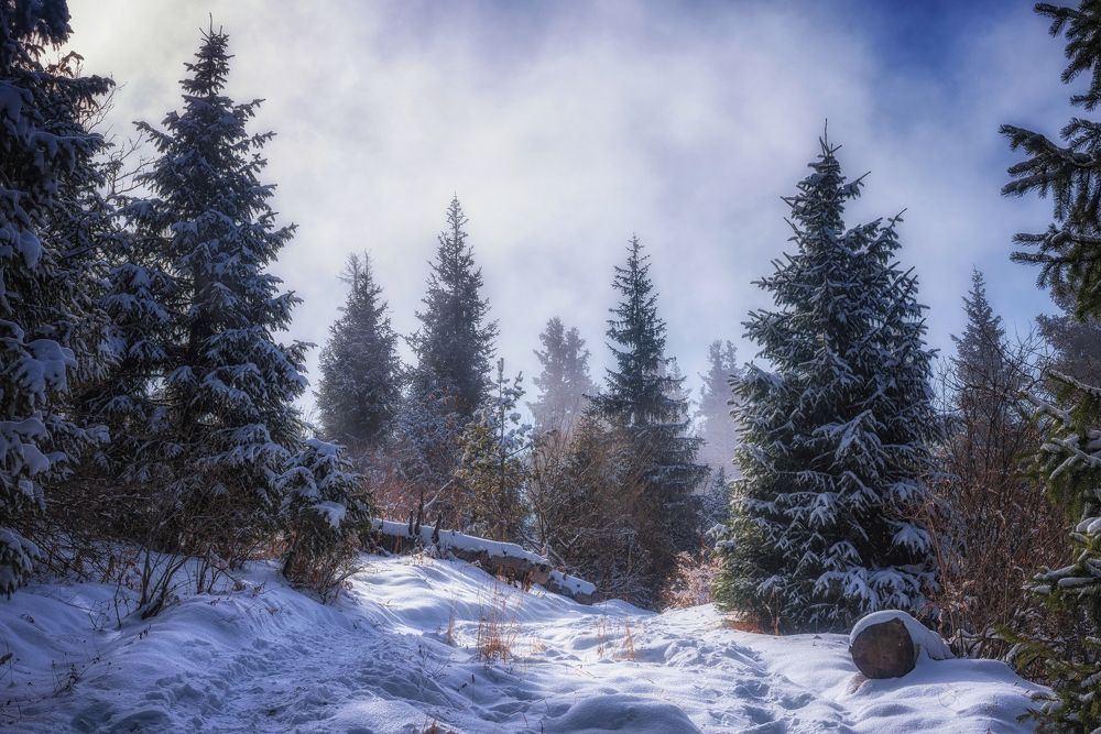 Путь на высокогорное плато