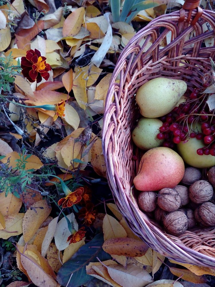 Ноябрь/November