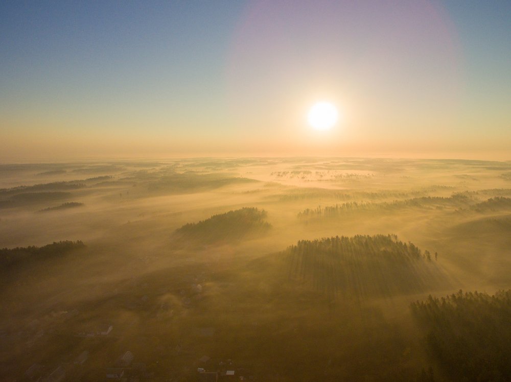 Утренний туман