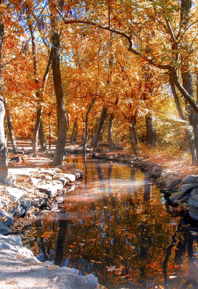 Осенняя сказка