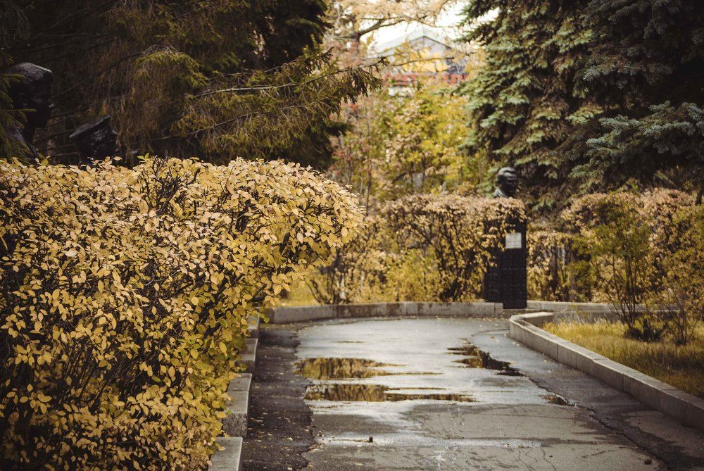 Осенний сквер