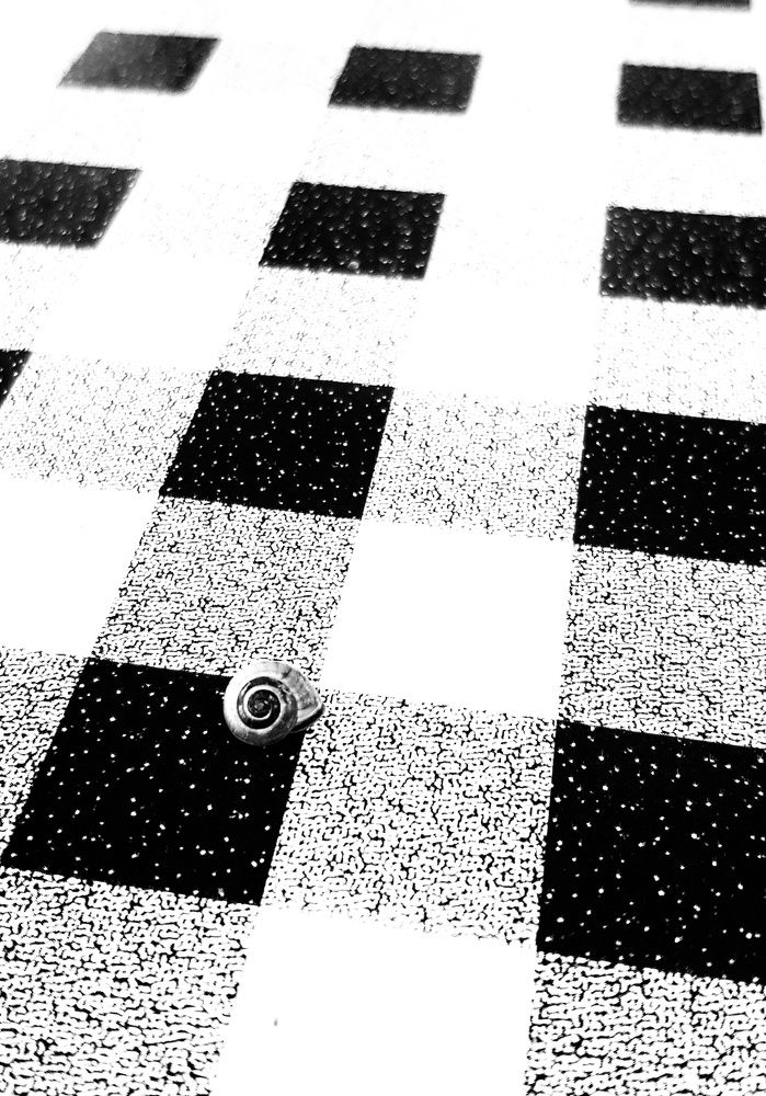 Про улитка.