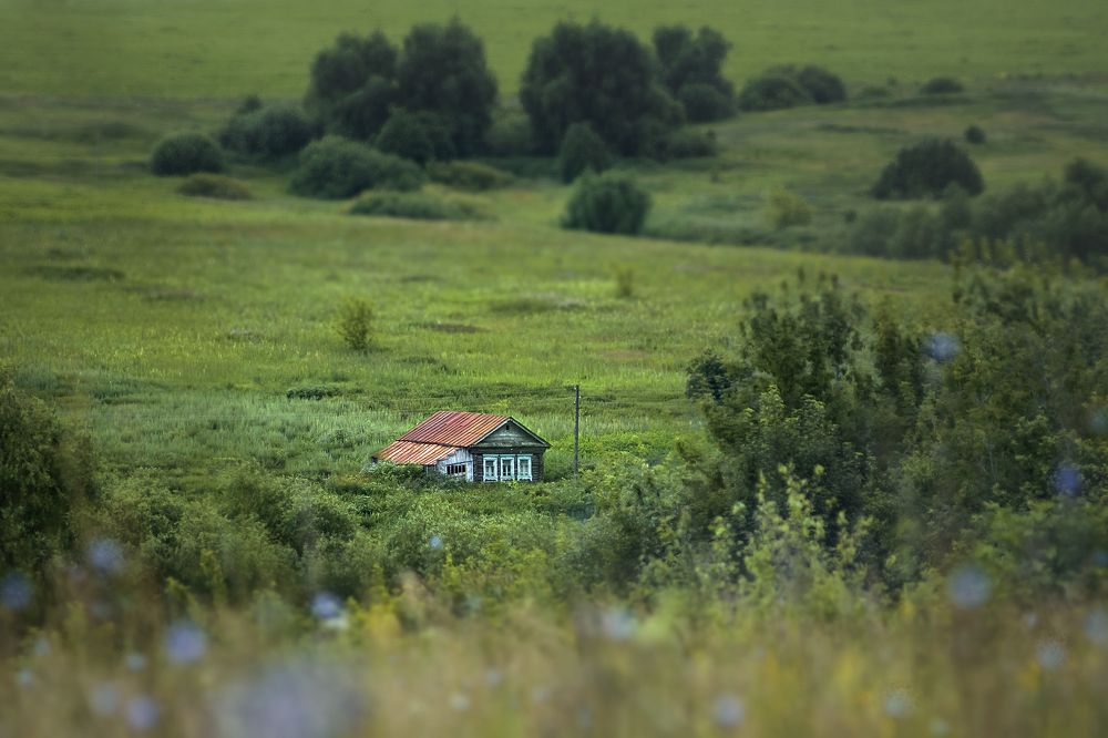 Photograph by Логинов Сергей