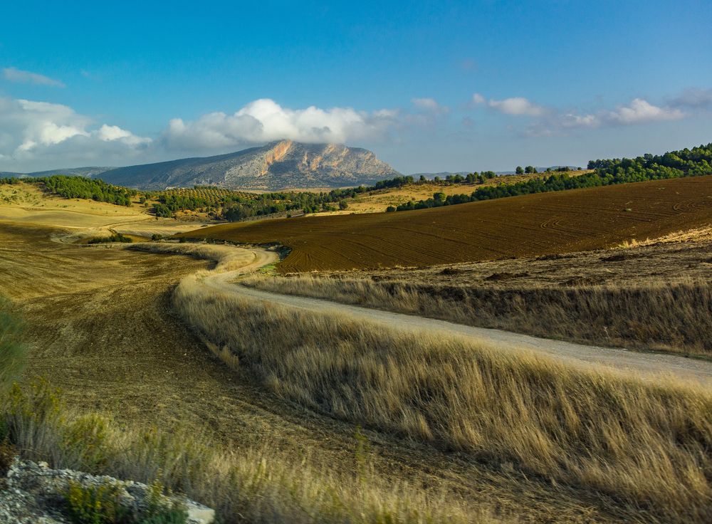 Дороги Андалусии