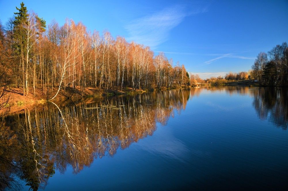 Ноябрьский день. Запруды на реке Нахавня.
