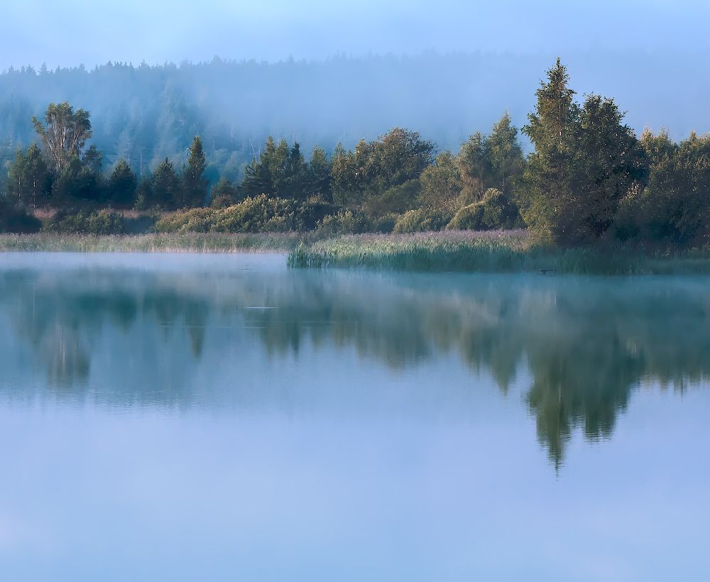 Утро на озере