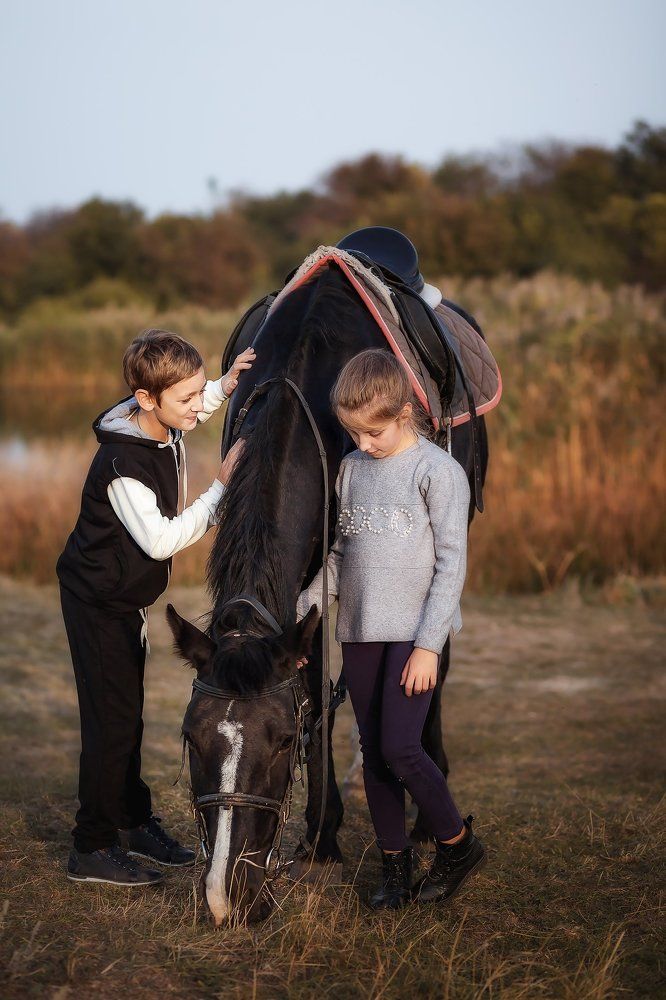 Рождение дружбы