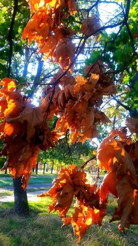 Photograph by Инна