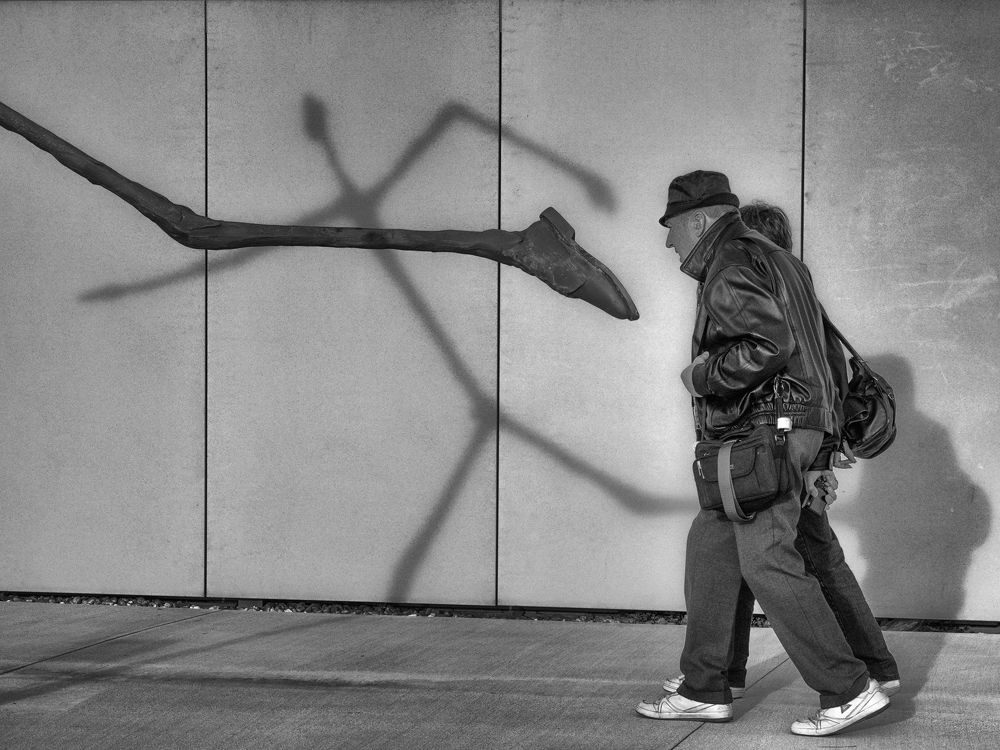 journey to the DANUBIANA