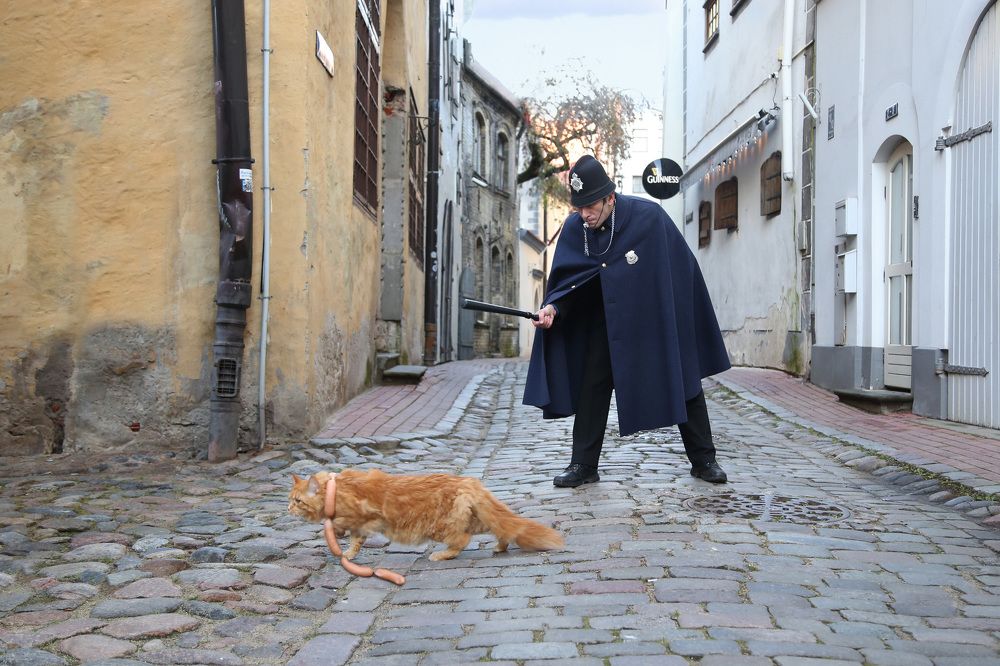 Кот и полисмен